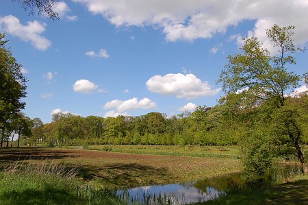 Oranjewoud